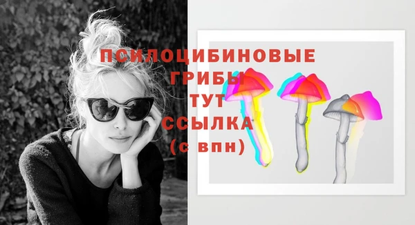 трава Новокубанск