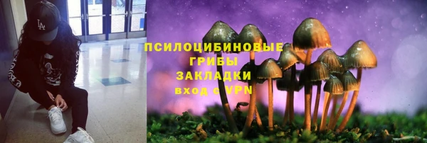 герыч Новодвинск