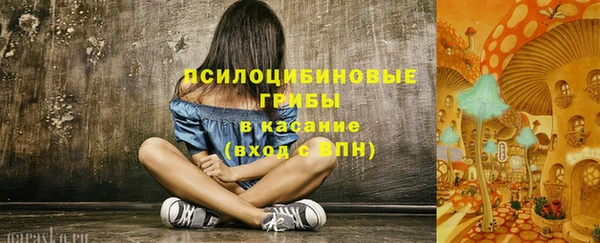 трава Новокубанск