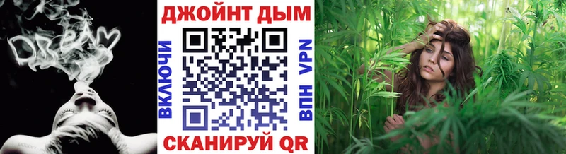 Купить  Ачхой-Мартан  Конопля тримм 